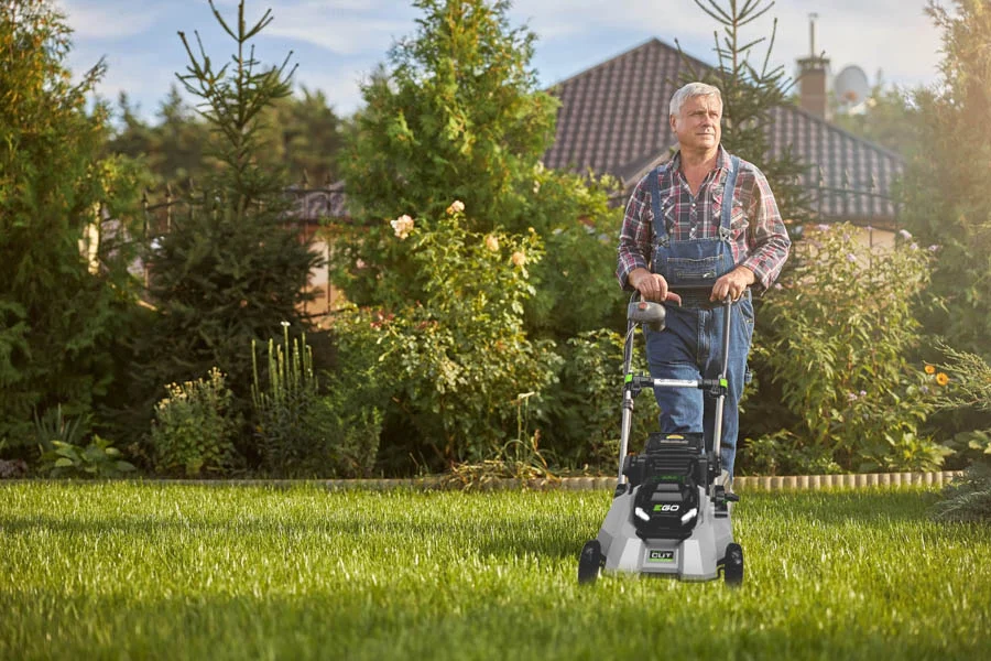 where to buy lawn mower